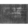 thumbnail image 1 of Ahgly Company Indoor Rectangle Oriental Gray Industrial Area Rugs, 2' x 3', 1 of 4