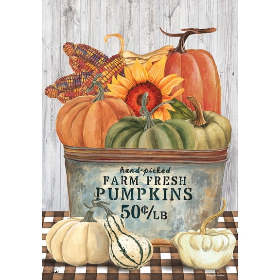 Briarwood Lane Fall Garden Flag 12x18 For Outdoor Farm Fresh Bushel Autumn For Fall Garden Flag Flags For Outside