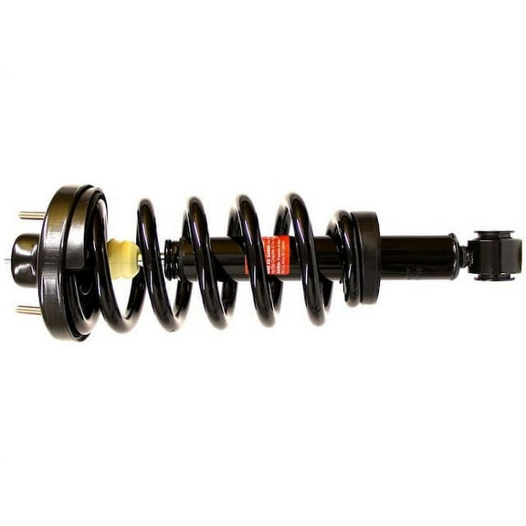Rear Strut and Coil Spring Assembly - Compatible with 2010 - 2017 Ford Expedition 2011 2012 2013 2014 2015 2016