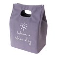 thumbnail image 1 of Matsuzay Bolsa de almuerzo aislada, contenedor de almacenamiento, bolso portátil para campamento, senderismo, trabajo, oficina, escuela, viajes, playa, Organizadores de utensilios de cocina Gris Matsuzay HA072598-01, 1 of 6
