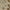 Light Grey/Cream, variant on SAFAVIEH Royalty Earleen Traditional Wool Area Rug, Cream/Light Grey, 6' x 9'