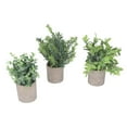 thumbnail image 1 of Plantas De Eucalipto En Macetas Falsas, Hermoso Paquete De 3 Plantas Artificiales En Macetas De Plástico Para Escritorio, 1 of 7