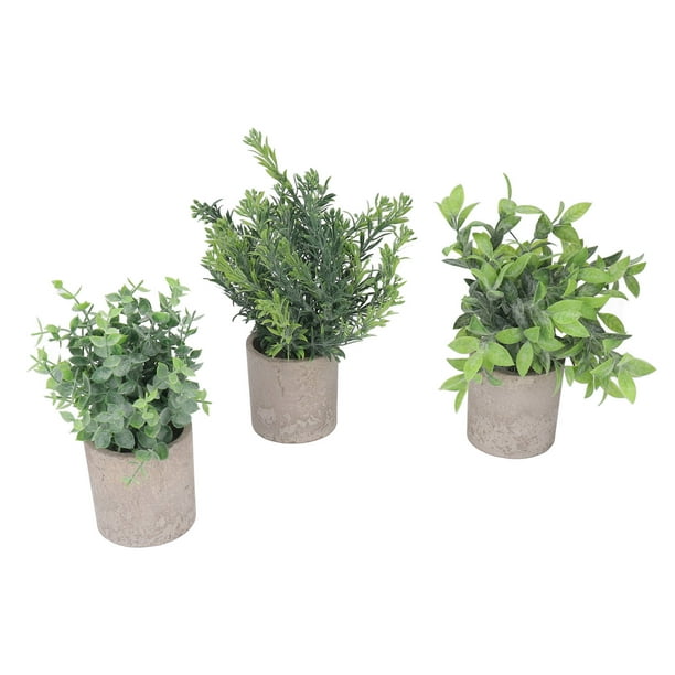 Plantas De Eucalipto En Macetas Falsas, Hermoso Paquete De 3 Plantas Artificiales En Macetas De Plástico Para Escritorio