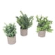thumbnail image 1 of Plantas De Eucalipto En Macetas Falsas, Hermoso Paquete De 3 Plantas Artificiales En Macetas De Plástico Para Escritorio, 1 of 7