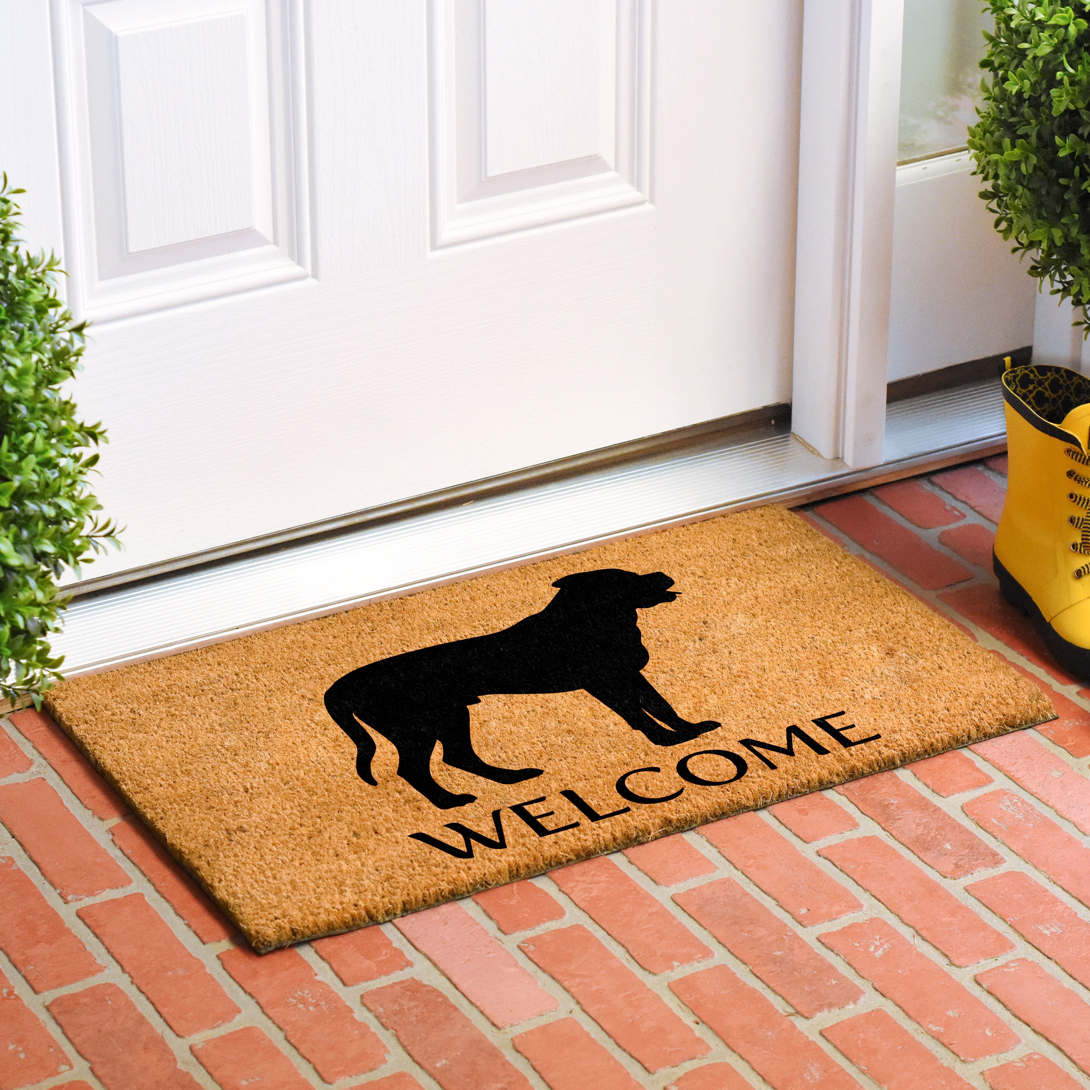 Calloway Mills 106851729 Mastiff Doormat 17" x 29"