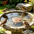 thumbnail image 1 of Bird Bath Plate Decorative Purification Plate with Support Points Natural All Weather Water Suitable for Outdoor Bird Bath Tubs and Bowls Multiple Choices, 1 of 5