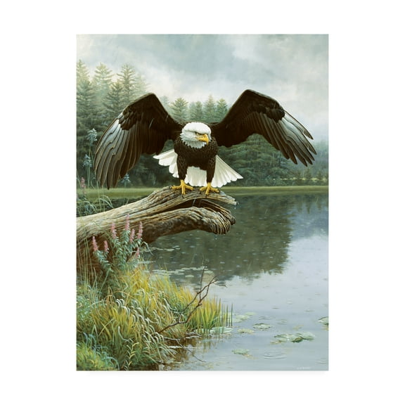 Trademark Fine Art 'Majestic Showers' Canvas Art by Michael Budden