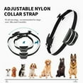 No Bark Collars For Small Dogs MASBRILL Small Dog Bark Collar, Anti Barking, Humane, 7 Sensitivity