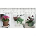 thumbnail image 4 of Bloem STT2445 Soucoupe de Plante Terra 24 Po, Chocolat, 4 of 6