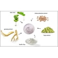 thumbnail image 2 of Cleopatra Crema reafirmante revitalizante y nutritiva, 8 oz, paquete de 2, 2 of 5