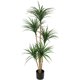 thumbnail image 1 of 5-ft artificial dracaena tree: realistic, lifelike faux tree para indoor decor - ideal para para photo backdrops, nursery, sala de estar, oficina, 1 of 6