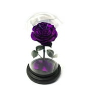 Dyrabrest Eternal Roses Handmade Preserved Fresh Rose Preserved Real Rose in Glass Dome, Roses Never Withered Gifts for Female, Valentine's Day, Mother's Day, Birthday, Christmas, Anniversary