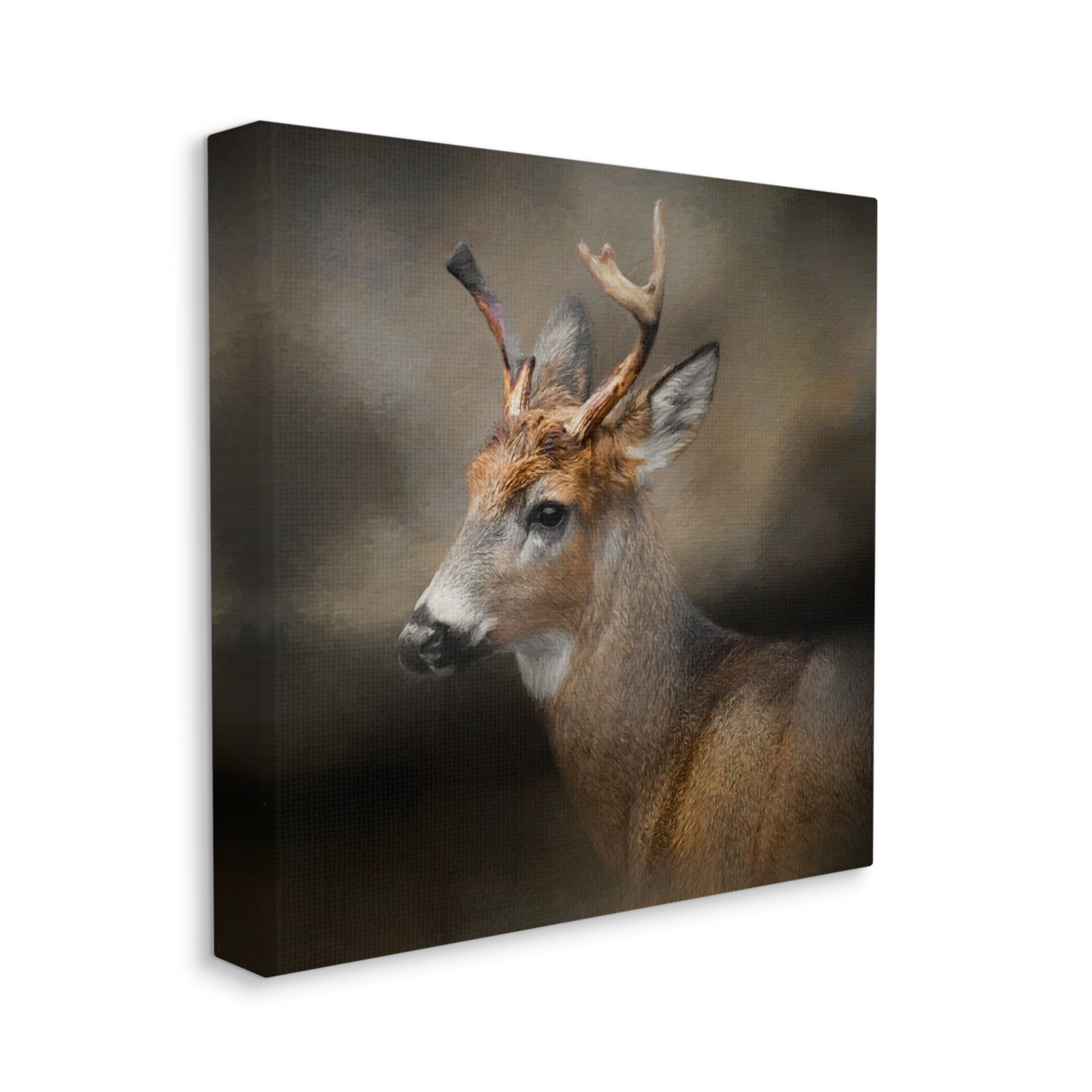 Stupell Woodland Deer Nature Photography Animals & Insects Photography Gallery Wrapped Canvas Print Wall Art