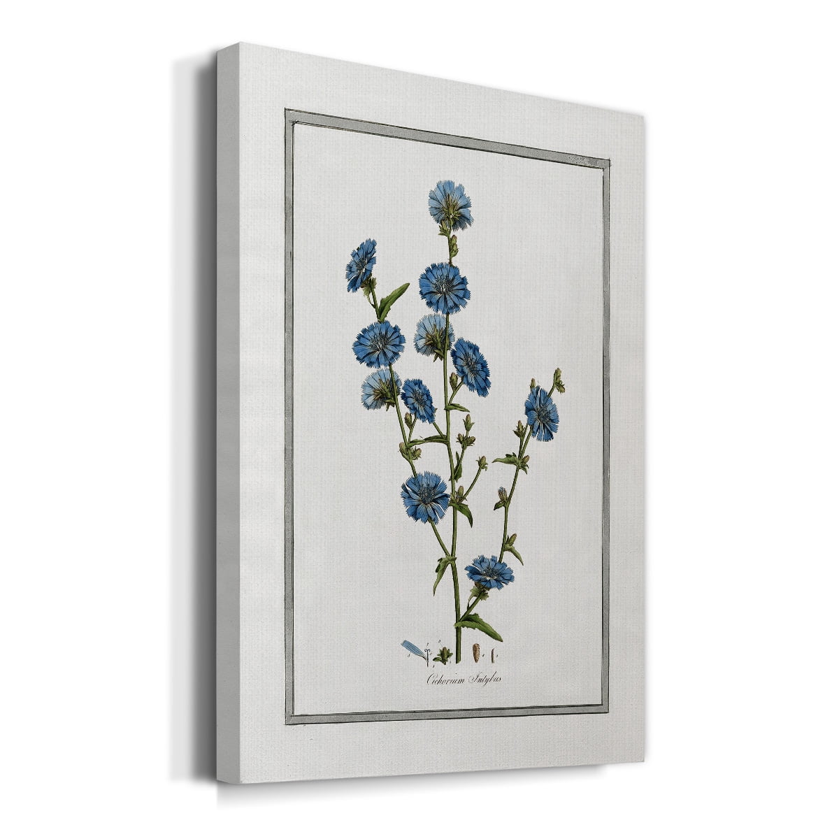 Soft Botanical I Premium Gallery Wrapped Canvas - Ready to Hang