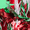 Multi Tinsel & Ornaments, variant on Holiday Time Women's Gift Box Headband, Red