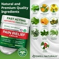 thumbnail image 5 of Owell Naturals Arthritis Deep Penetrating Cream, 3.5 oz, 5 of 10