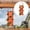 Orange, variant on Hanging Planter BagsDurable Aeration Fabric Grow Bags Hanger Vegetable Planting Bags Hanging Planter Grow Bag Upside Down Tomato Planter Upside Down Strawberry Hanging Planter