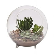 Panacea 10.25" Clear Glass Sphere Terrarium with Feet