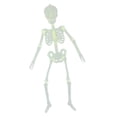 thumbnail image 1 of Luminous Skeleton Horror Halloween Prop interior y exterior Patio Decoración Los 32x6cm, 1 of 9