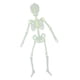 thumbnail image 1 of Luces de Halloween para una Decoración Aterradora en el Interior y Exterior de tu Casa Encantada Los 32x6cm, 1 of 9