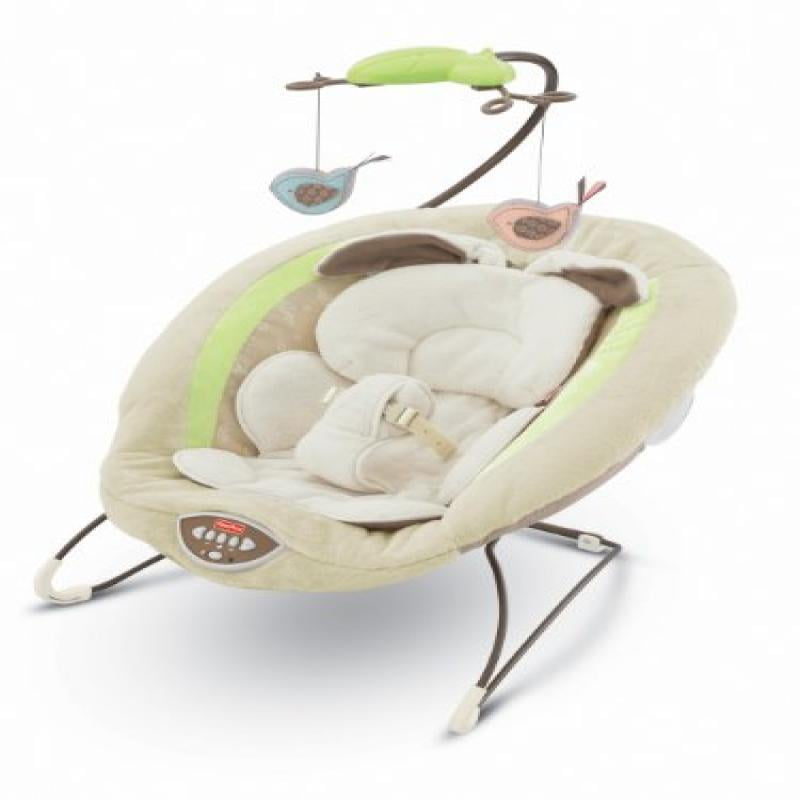 fisher price bouncer walmart