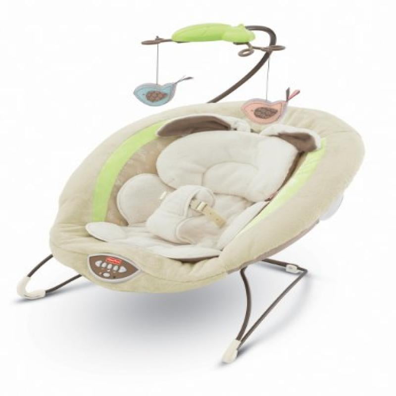 walmart fisher price bouncer