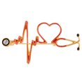 thumbnail image 1 of Electrocardiogram Stethoscope Brooch Alloy Multi Heart Shaped Design 1Pc 2.4x1.4in, 1 of 8