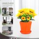 thumbnail image 5 of 2 sets Macetas decorativas para el hogar Flowerpot Petal diseñó sembrador suculento, 5 of 5