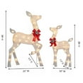 thumbnail image 2 of 2 Piece - White Glittering Reindeer Set - 38" Doe, 28" Fawn - 85 Clear Pre Lit Lights - Christmas Decoration, 2 of 2
