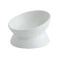 thumbnail image 2 of Tnobhg Elevated Dog Cat Food Bowl Smooth Easy to Clean Anti-Vomiting 15-Degree Raised Tilted Pet Water Bowl Pet Supplies, 2 of 8