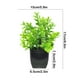 thumbnail image 3 of Decoración del hogar, decoración de habitaciones, decoración de paredes, plantas artificiales decorativas, plantas verdes de simulación, arreglos para muebles de interior, sala de estar, ramo de plást, 3 of 6