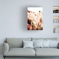 thumbnail image 3 of Blue Palomino 'CA Beach Succulents In Rose' Canvas Art, 3 of 3