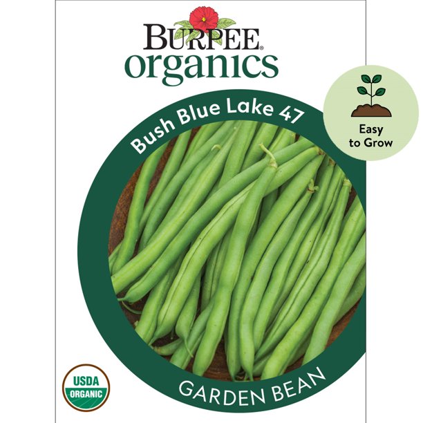 Burpee Organics Bush Blue Lake 47 Garden Bean Seeds NonGMO, Bush