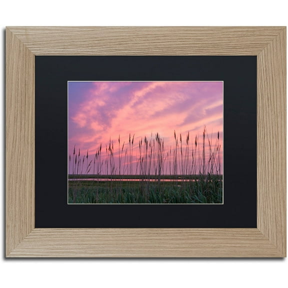 Trademark Fine Art "Marsh Reeds" Canvas Art by Michael Blanchette Photography Black Matte, Birch Frame
