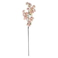 thumbnail image 2 of BalsaCircle 4 Pieces 40" Blush Silk Cherry Blossom Branches Artificial Flowers Centerpieces, 2 of 8