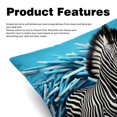 thumbnail image 2 of Zebra Covers- Set of 2 Throw Pillows in Various Sizes (16x16, 18x18, 20x20 inches) with Stylish Patterns for Home Decor and Comfort - Pillow Inserts Included, 2 of 6