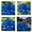 D, variant on Plantable Blue Hostas (Non-Artificial), Beginner Friendly, Fast Growing Variety with Lush Blue Foliage for Outdoor Decor, Rare & Beautiful