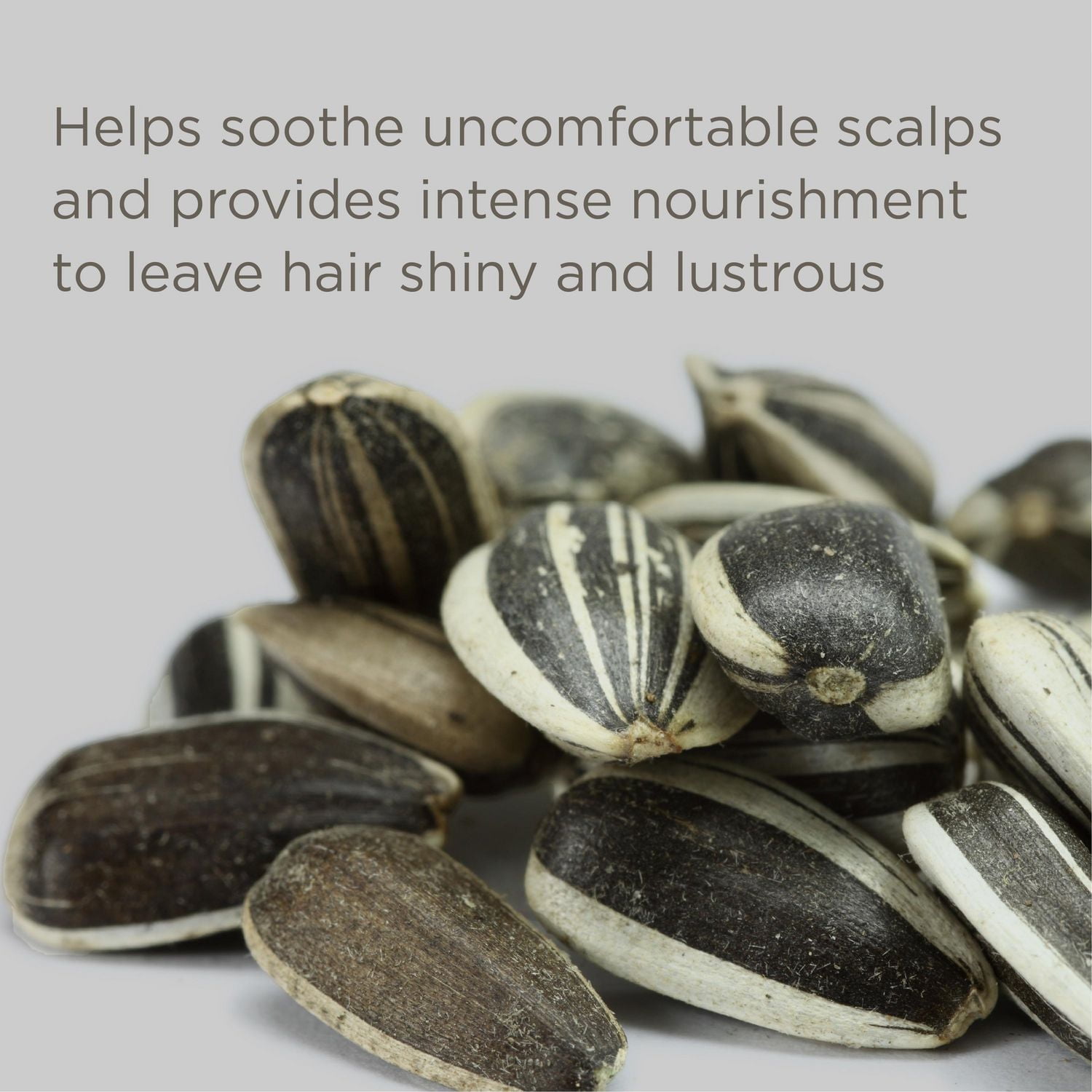 Shampoing sec sans parfum Down To The Basics Shampooing sec