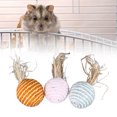 thumbnail image 1 of Bolas para morder conejos bolas de papel juguetes ligeros para bolas de conejo rechinar los dientes multifunción seguro para hámsteres ANGGREK Otros, 1 of 8