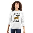 thumbnail image 3 of Ive Got Friends Low Places Cute Corgi Unisex Plus Fleece Graphic Sweatshirt Brisco Brands 2X, 3 of 5