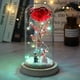 thumbnail image 1 of Led encantado Galaxy Rose eterna flor de lámina de oro de 24k con luces de cadena de hadas en cúpula para regalo de Navidad y San Valentín, 1 of 4