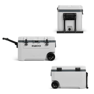 かき氷です₊⁎⁺˳✧༚ ORCA 26 Quart Hard Sided Cooler, White - Walmart.com