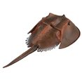 thumbnail image 1 of Simulated Sea Life Animals Figurines Realistic Sea Creature Model Plastic Ocean Animals Action Figure for Collection Science Educational (Horseshoe Crab), 1 of 4
