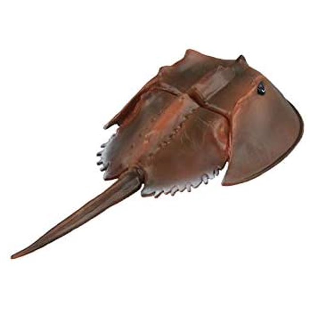 Simulated Sea Life Animals Figurines Realistic Sea Creature Model Plastic Ocean Animals Action Figure for Collection Science Educational (Horseshoe Crab)