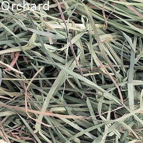 Small Pet Select-Sampler Box, 2ND Cutting, 3RD Cutting Timothy Hay, Oat Hay, & Orchard Hay