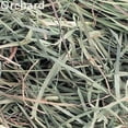 thumbnail image 5 of Small Pet Select-Sampler Box, 2ND Cutting, 3RD Cutting Timothy Hay, Oat Hay, & Orchard Hay, 5 of 7