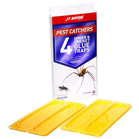JT Eaton 844 Pest Catchers Large Spider and Cricket Size Glue Trap, 4