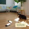 thumbnail image 5 of Begley’s Plant-Based Pet Stain and Odor Remover Enzyme Cleaner Spray, 24 Oz 1-Pack, 5 of 6