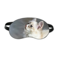 thumbnail image 1 of White pet cat animal perfil linda mirada Máscara de sueño, 1 of 4