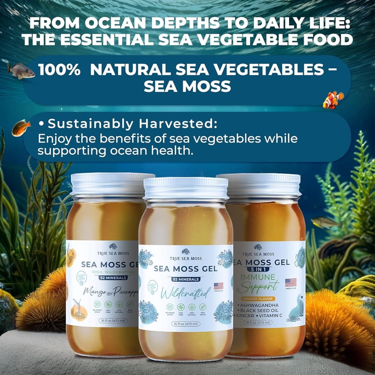 TrueSeaMoss Wildcrafted Irish Sea Moss Gel, Rich in Nutrients